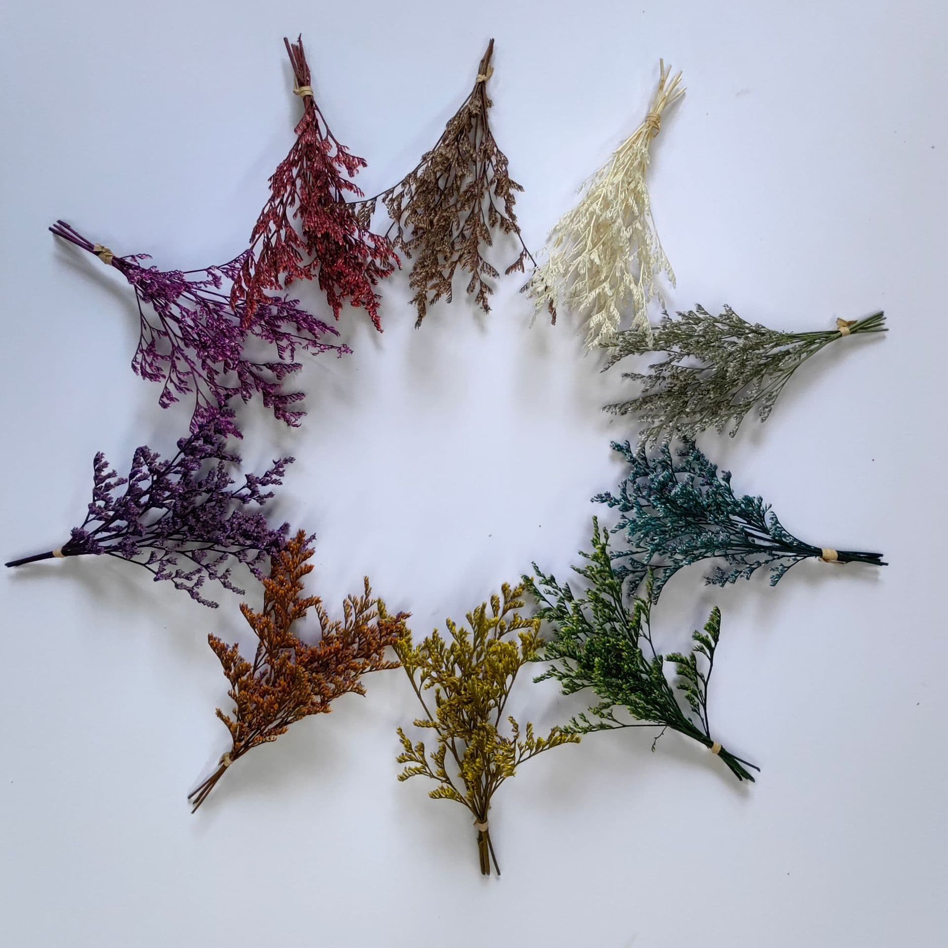 Mini Everlasting Lover Grass 15cm Foreign Trade Amazon Cross-Border Dried Flower Handmade DIY Decoration Manufacturer Wholesale