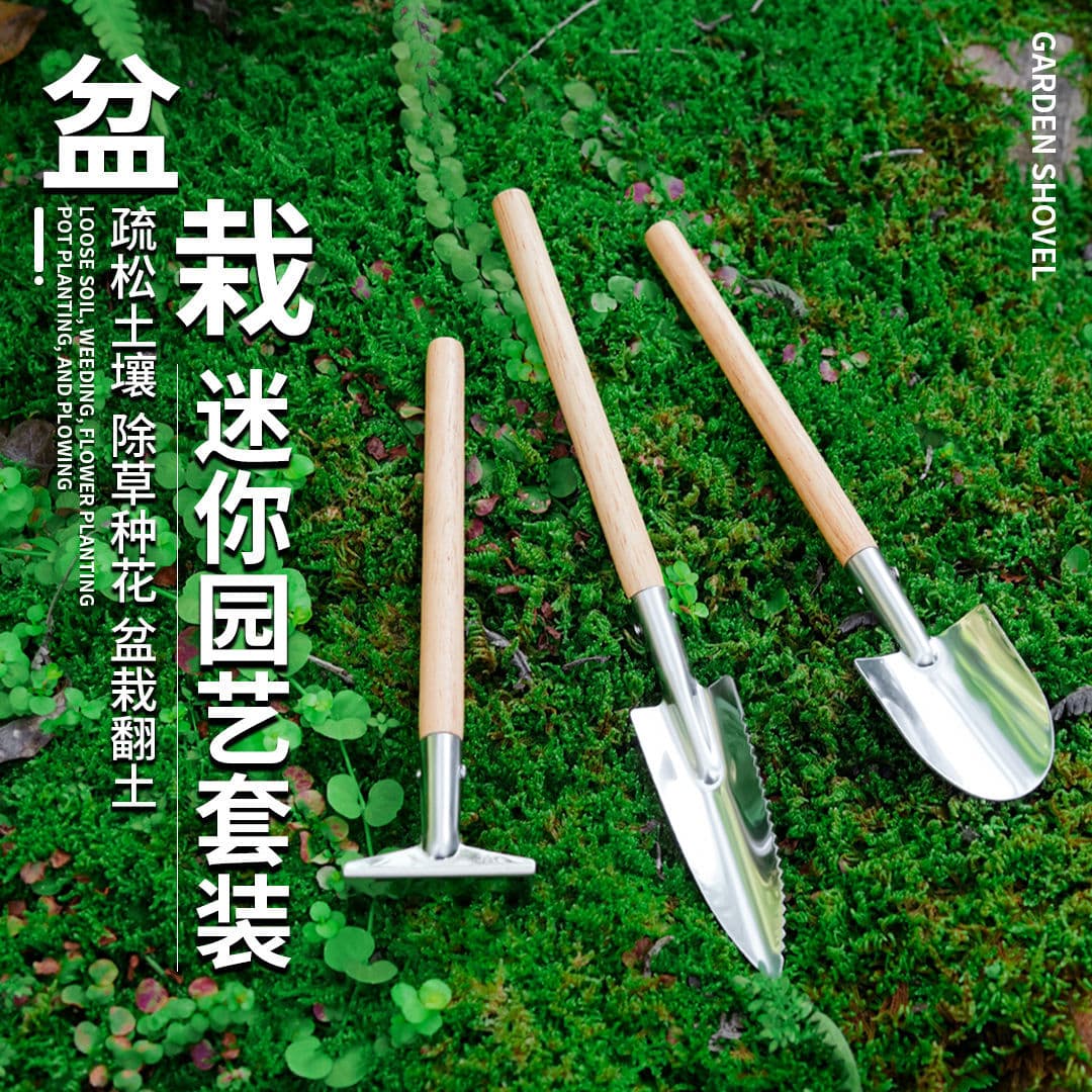 Mini tool set, gardening dig, stainless steel shovel, flower rake, succulent potted plant shovel, garden shovel