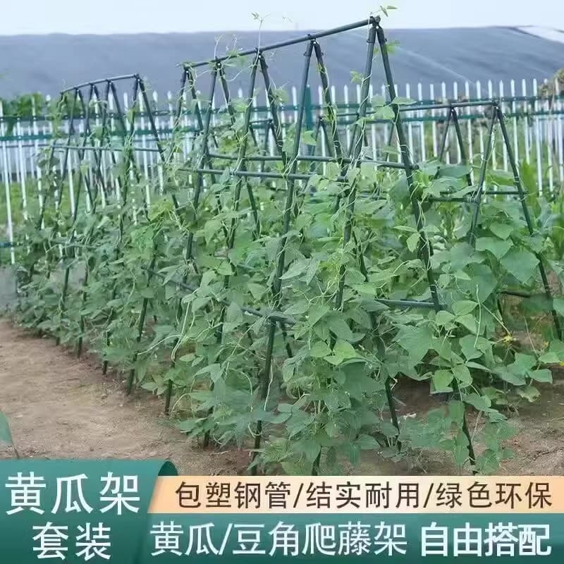 Garden Flower Rack Planting Box Climbing Rack Balcony Plant Support Rod Garden Rose Cucumber Combination Set Grape Rack