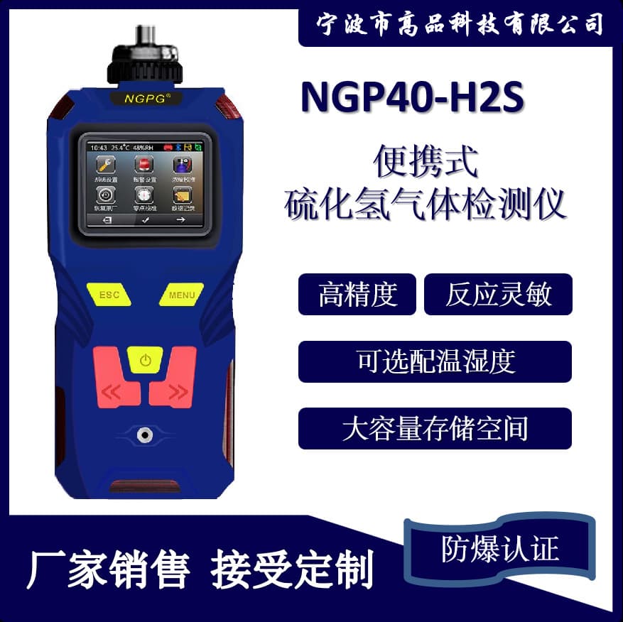 Portable Hydrogen Sulfide Detector from Manufacturer, Pumping Type for H2S, Oxygen, Ammonia, and Multi-Gas Detection