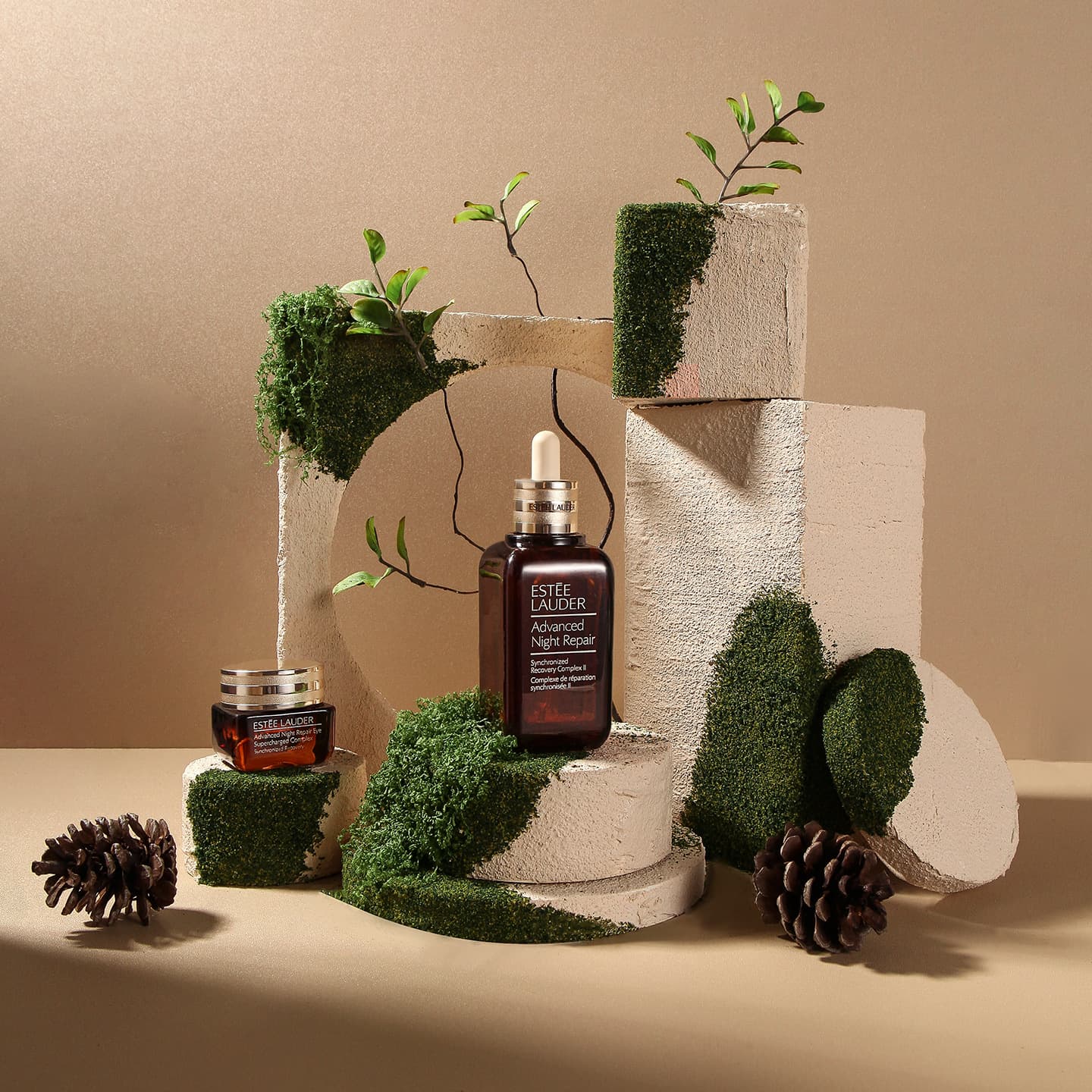Geometric Moss Photo Atmosphere Props Beauty and Skin Care Products Hand-Made Landscaping Pose Beige Textured Stone Pieces
