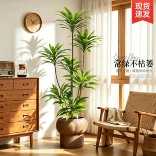 Artificial Cordyline Plant High-End Luxury Faux Flower Large Indoor Potted Decoration Tree Fake Plant