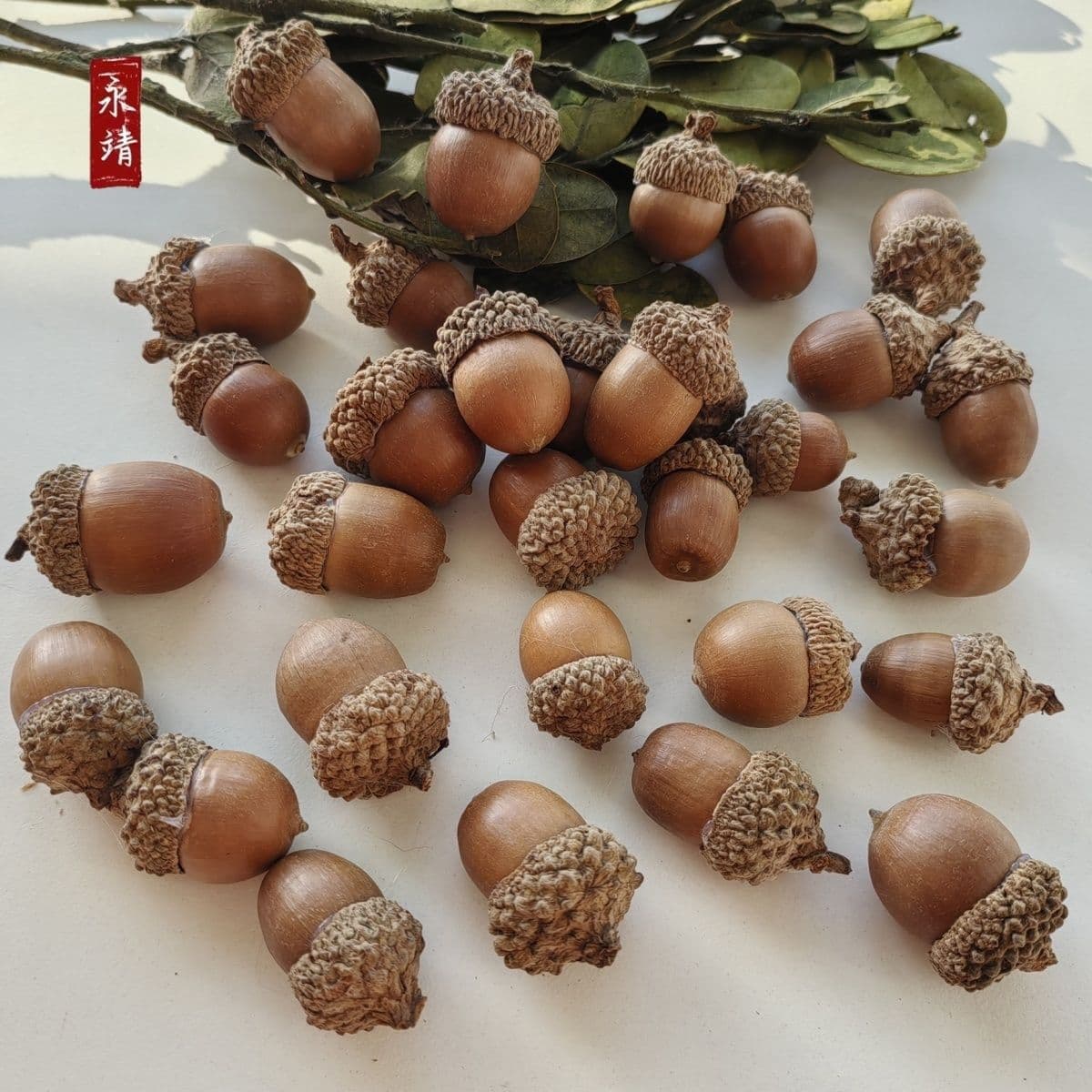 Acorns Natural Small Acorns Nuts Home Holiday Christmas Festival Display Props