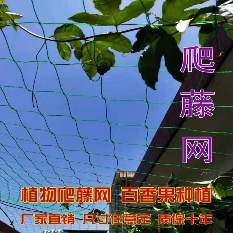 Thickened Passion Fruit Trellis Net for Agricultural Planting of Melons, Luffa, Grapes, Beans, and Cucumber Vines