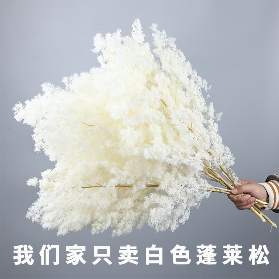 White Ming Fern Dried Flowers Preserved Bouquet DIY Flower Materials Cross-border Hot Selling Home Decoration Handmade Ornaments