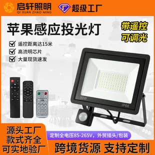 LED Remote Control Floodlight 100W with Remote Sensor Floodlight 50W Adjustable Brightness Sensor Apple Floodlight