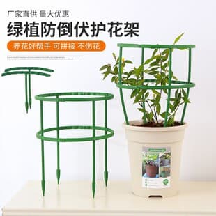 Crab Claw Orchid Flower Stand Climbing Plant Garden Flower Support Stake Garden Bonsai Tool Support Half Circle