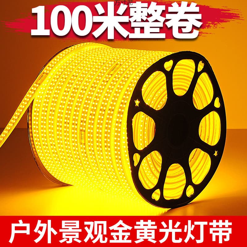 100m Golden Yellow LED Strip Light, Engineering Landscape Lighting, Outdoor 220V, Decorative Wholesale