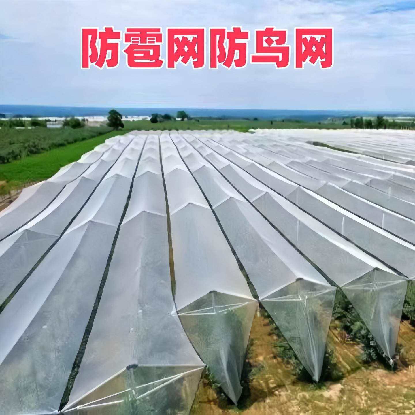 Knotless Net, Chicken Net, Bird Net, Farming Net, Nylon Net, Fruit Tree Hail Net, Fish Net, Orchard Anti-Hail Net, Anti-Aging