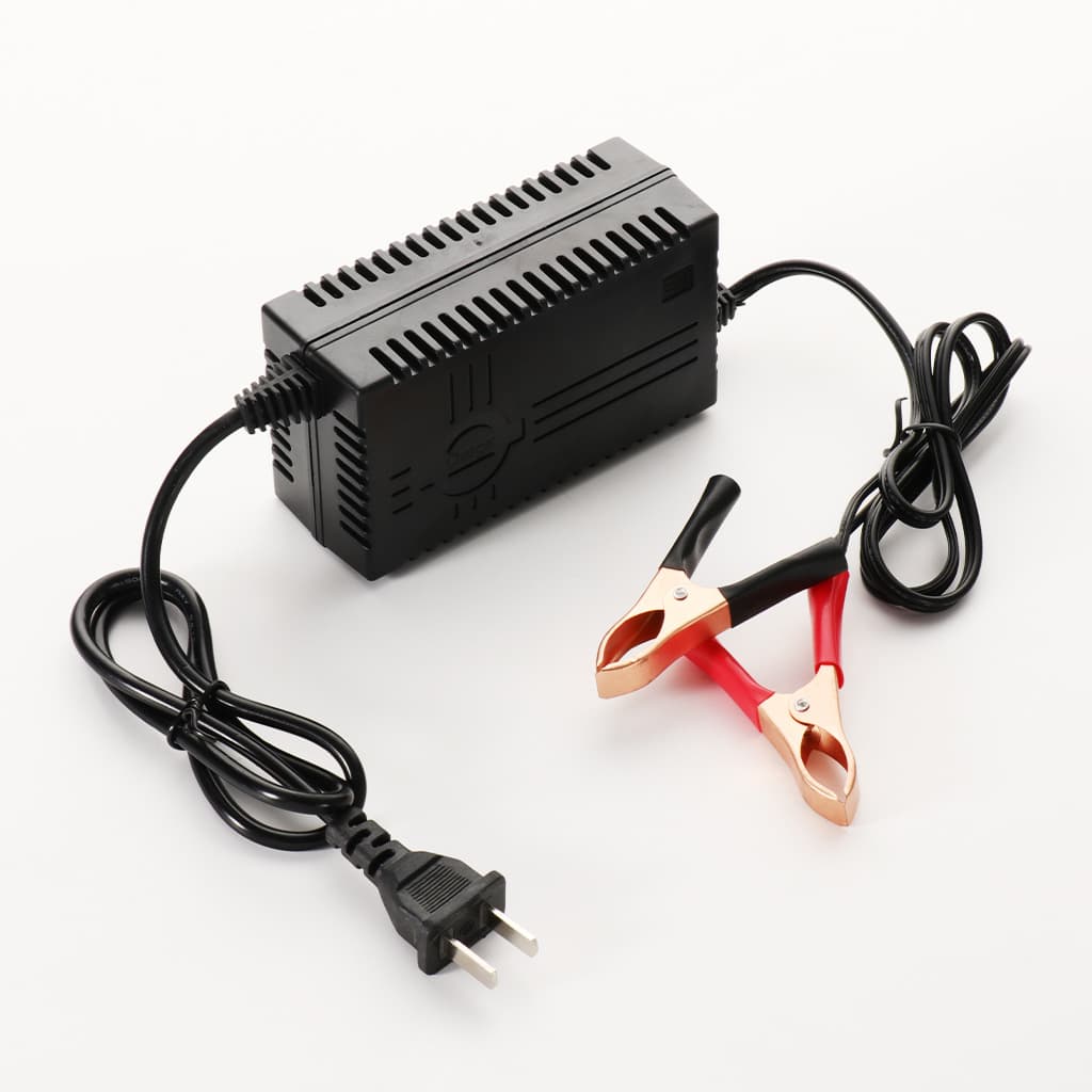 Battery charger, car battery charger, motorcycle and toy car battery charger, cross-border exclusive supply 12V
