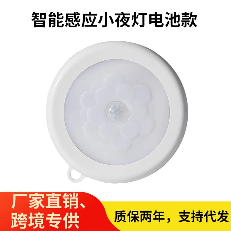Smart Motion Sensor Light Battery Version, AA Dry Battery Home Night Light, Wireless Intelligent Sensor Lamp