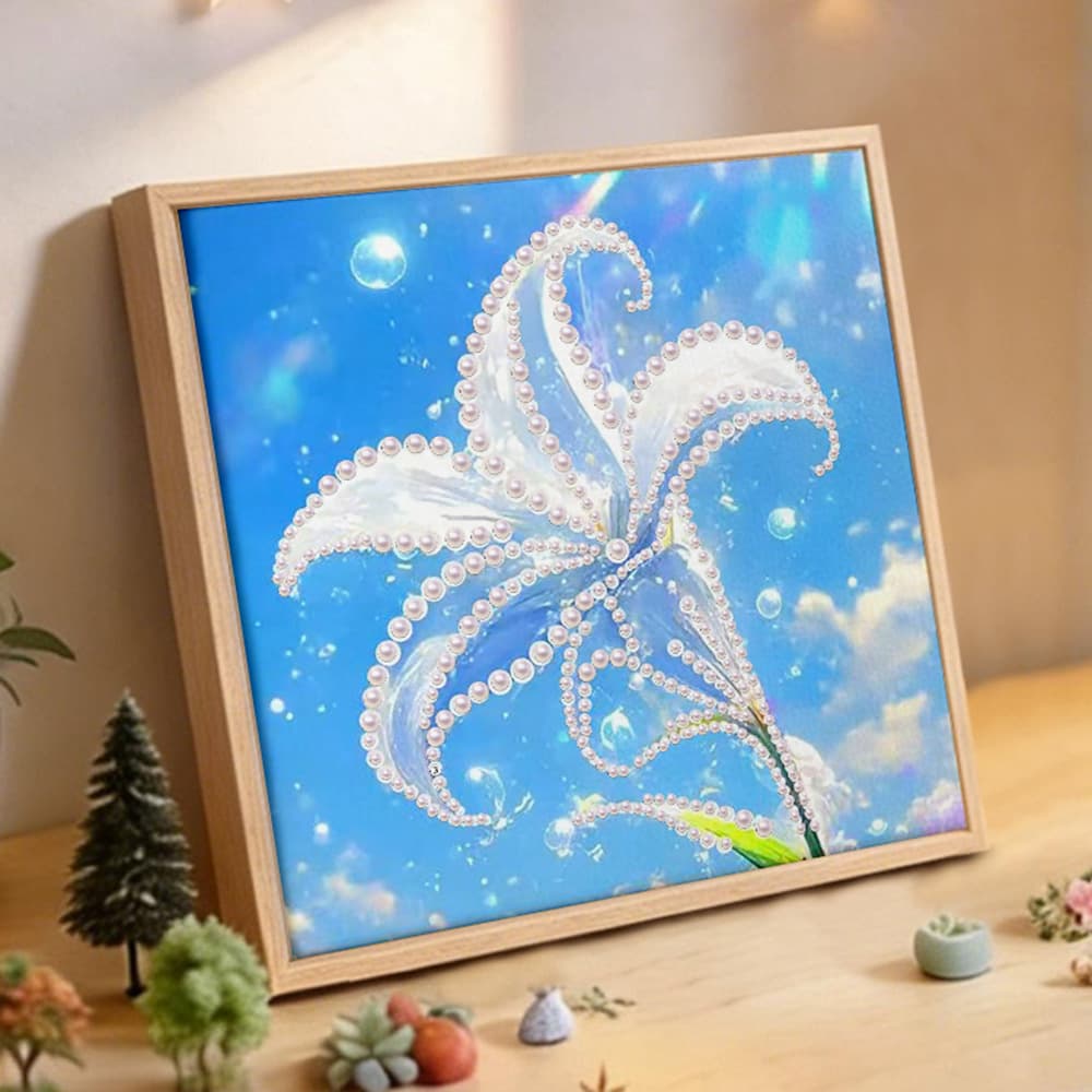 New Handmade DIY Pearl Diamond Painting Wholesale High-Value Small-Sized Pearl Painting DIY Material Painting Decorative Painting