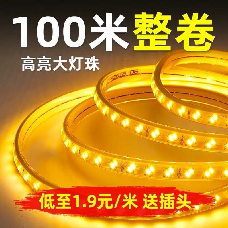 100-meter LED strip light kit - high brightness, dimmable, suitable for home use, living room ceiling, outdoor use, 220V.