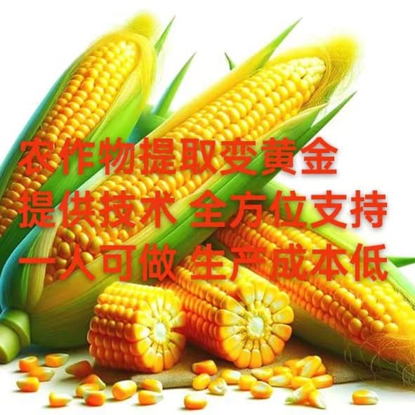 Transform grains into treasure! Deep processing of plant protein peptides, solo operation with low cost