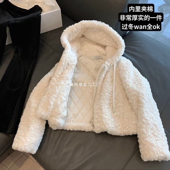 Hooded Lamb Fleece Jacket Women Autumn Winter Short Style 2025 New Style Petite Thick Fuzzy Fur Coat