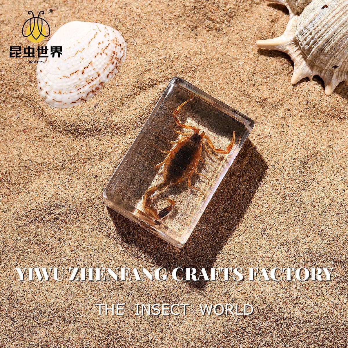 Zhenfang Crafts Factory direct sales of real insect specimens, available for wholesale on platforms like Douyin, Pinduoduo, and Taobao, suitable for teaching models and DIY blind boxes.