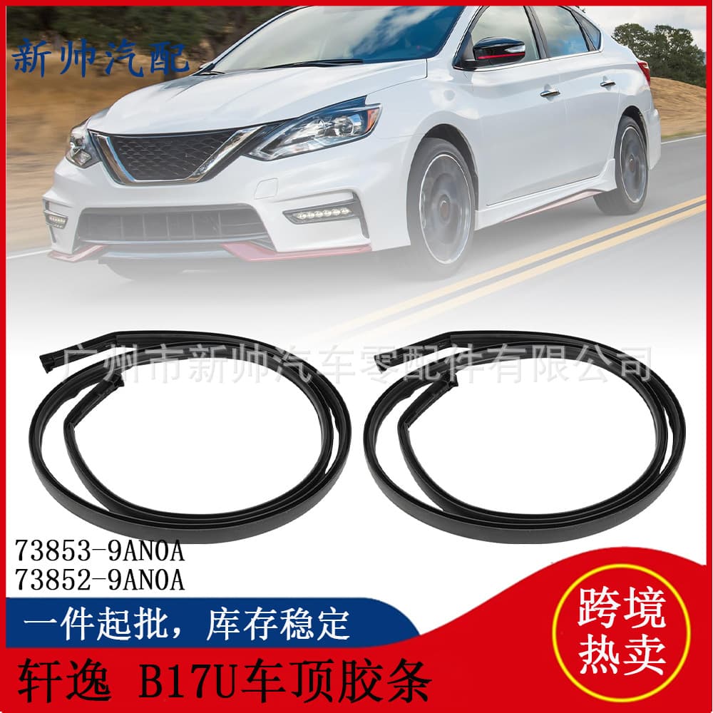 73853-9AN0A/73852-9AN0A for NISSAN Sylphy/B17U Roof Body