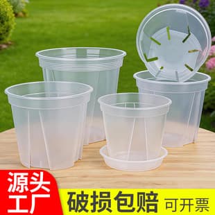 Large Transparent Flower Pot, Resin Thickened Orchid Pot, Orchid Pot Breathable Root Control Pot, Qingshan Pot