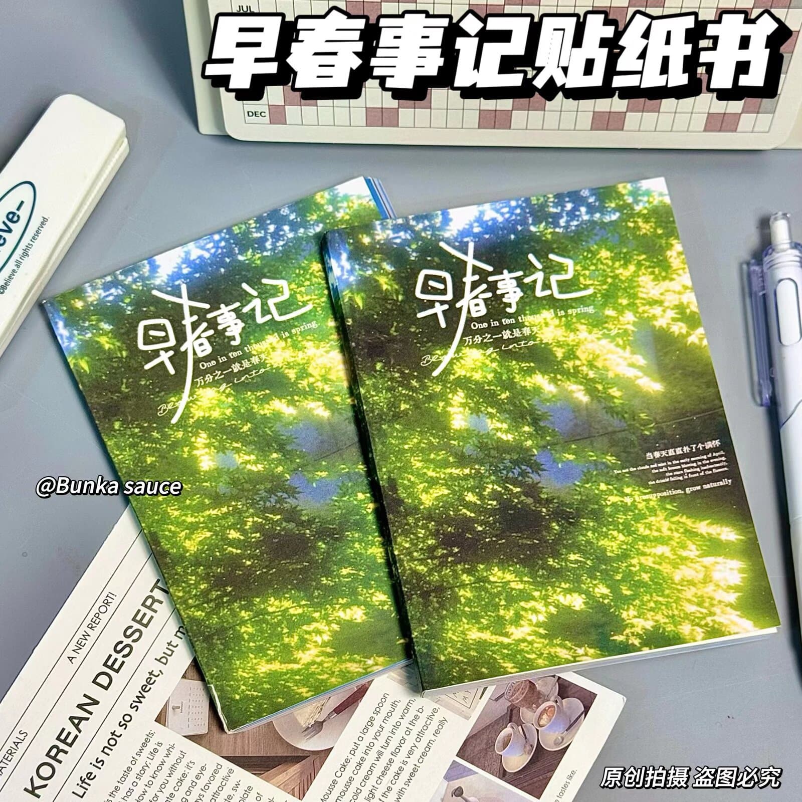 In Stock Xiaohongshu Same Style Early Spring Diary Ins-Style Die-Cut Stickers for Student Scrapbook Journal DIY Decorative Sticker Book
