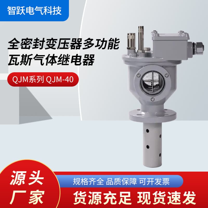 Zhiyue Manufacturer Wholesale QJM Series QJM-40 Fully Sealed Transformer Multi-function Gas Relay