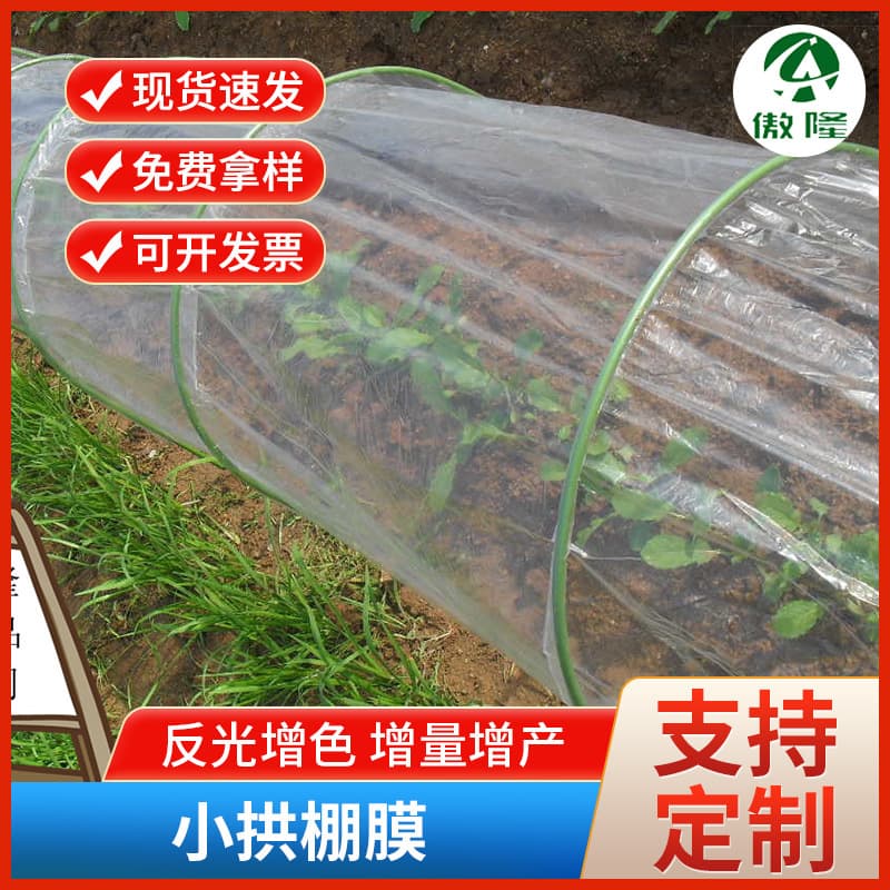 Wholesale agricultural plastic film, small arched greenhouse, transparent mulch film, waterproof, heat-insulating, moisture-retaining, vegetable growing PE plastic film
