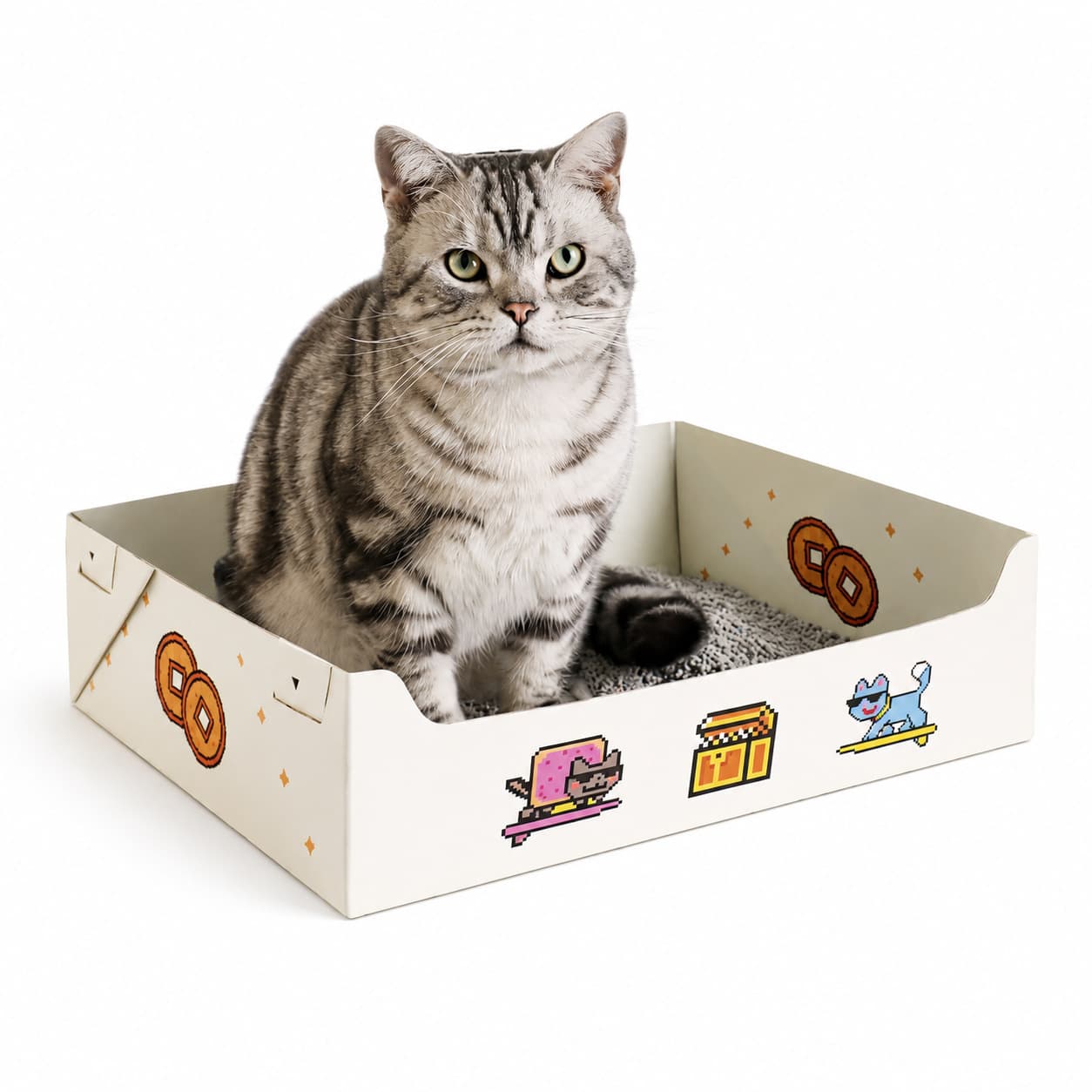 Disposable Cat Litter Box Waterproof Foldable Cat Toilet Outdoor Travel Portable Cat Poop Tray Cat Litter Pan