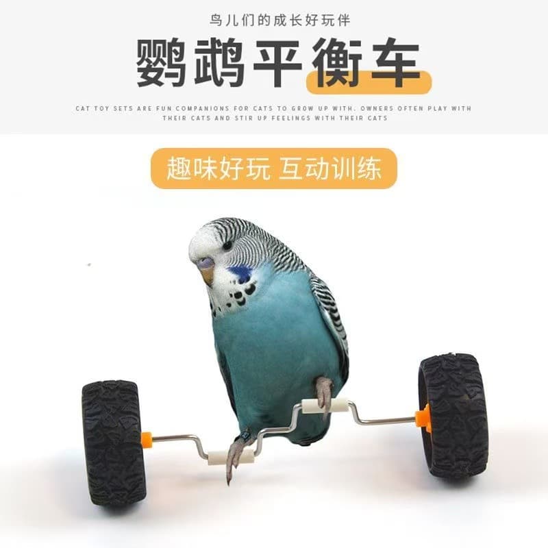 Parrot Toy Balance Bike for Small and Medium Birds, Scooter Skateboard Skill Training Prop for Cockatiel Bird Toy