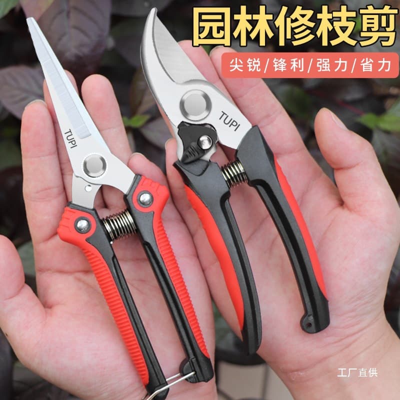 German Imported Fruit Tree Pruning Shears Stainless Steel Household Gardening Scissors Branch Pruning Scissors Floral Junxia