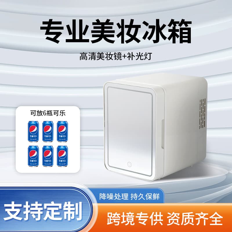 4L Makeup Fridge with Light and Mirror, Dual-Use for Home and Car, Custom Small Refrigerator for Skincare