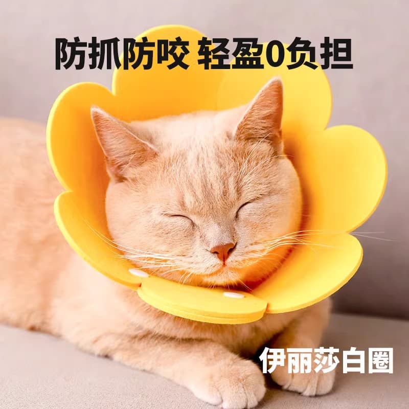 Elizabethan Collar for Cats, Spay Collar, Anti-Lick Neck Ring, Pet Cone for Dogs, Pet Supplies