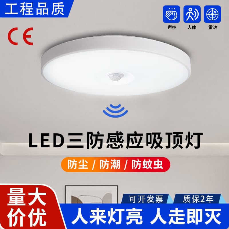 LED Infrared Induction Tri-proof Ceiling Light, Human Body Radar Sound Activated Light for Corridor, Balcony, Property, Smart Induction