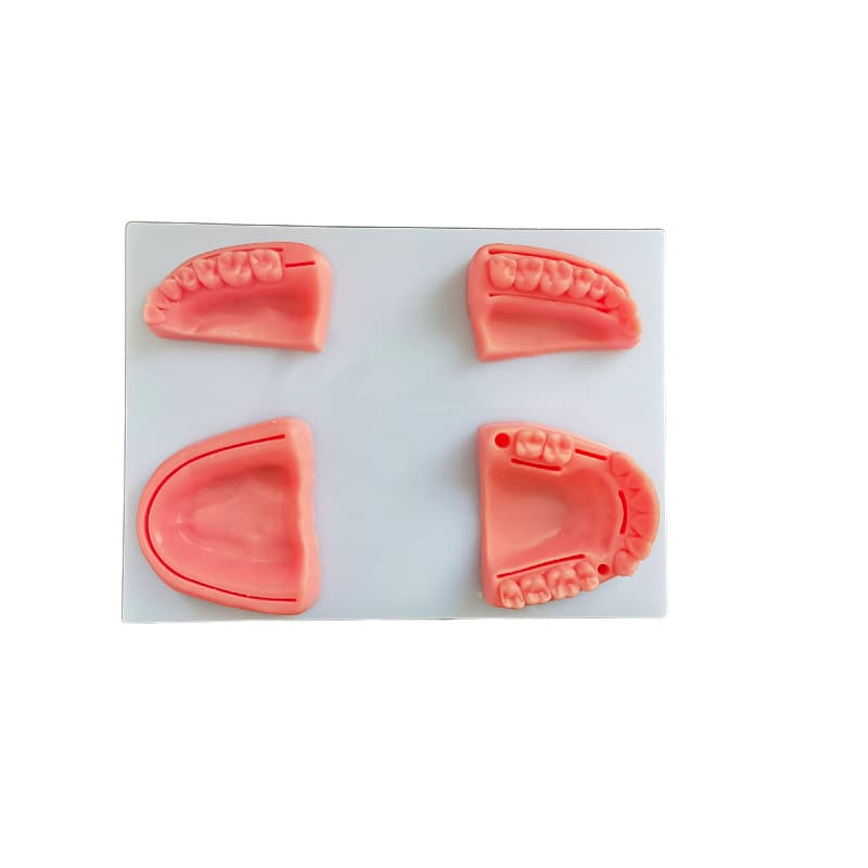 Free Shipping Medical Teaching Oral Suture Model, Simulated Silicone Teeth Module, Oral Suture Block Manufacturer