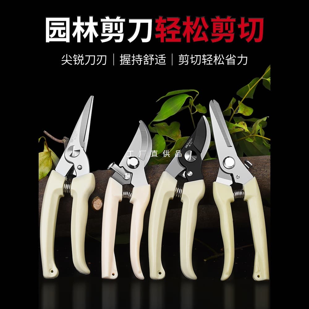 Garden Pruning Shears, Branch Scissors, Flower Scissors, Gardening Scissors, Floral Scissors, Tree Branch Pruners, Fruit Tree Scissors, Trimming Shears, Flower Pruning Scissors