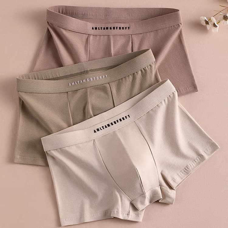 Men's Cotton Antibacterial Boxer Briefs 2024 New Autumn Winter Shorts