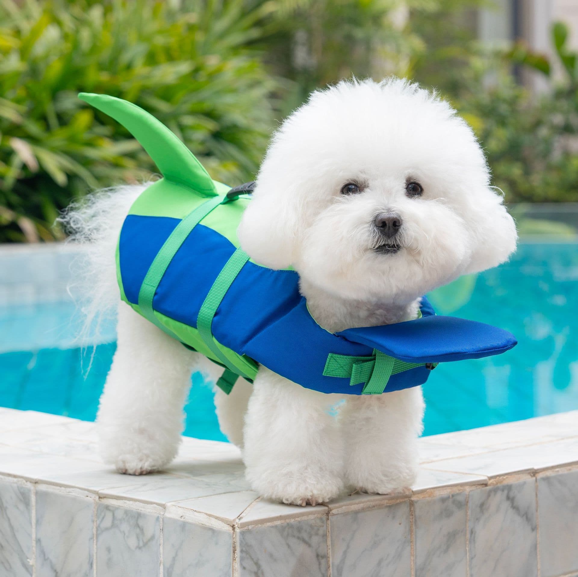 Cross-border pet dog swimming life jacket 2026 summer new pet swimming training clothes wholesale in stock