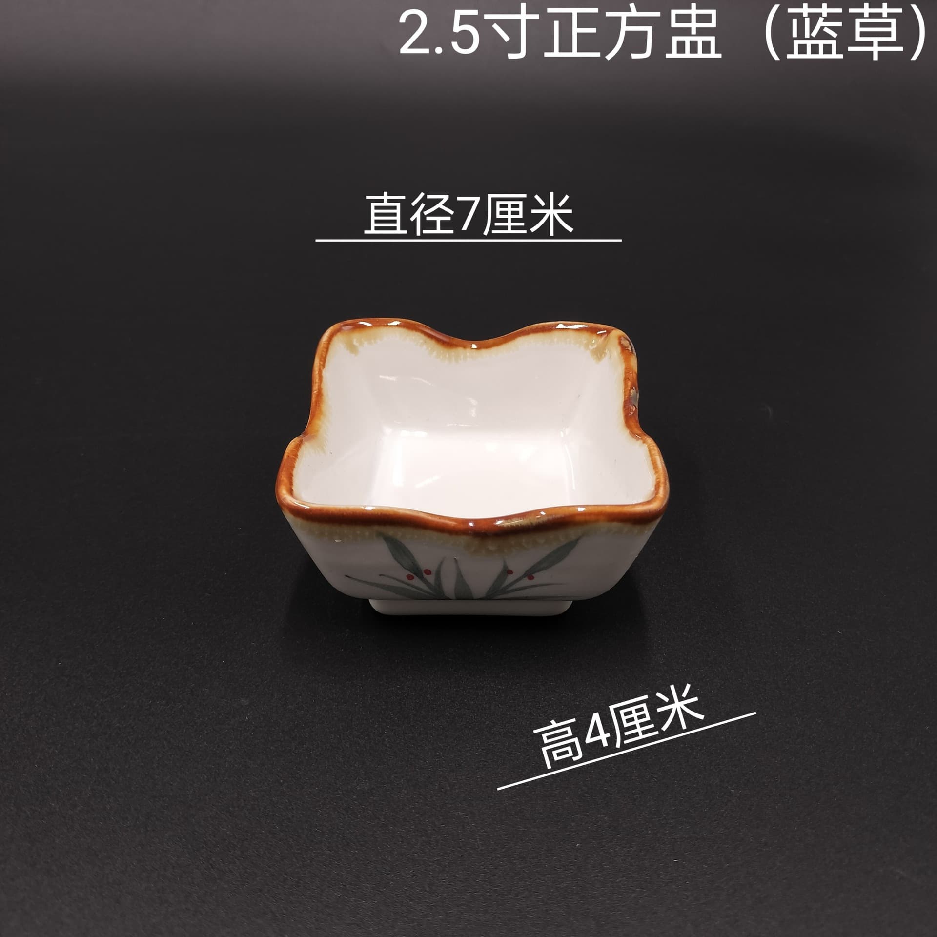 Japanese-style ceramic tableware for sashimi decoration dish, soy sauce dish, wasabi dish, small condiment dish, multi-purpose dish