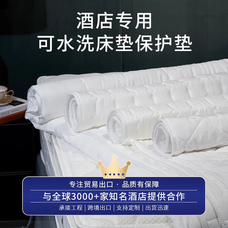 Star Hotel Washable Mattress Protector All-Season Thickened Soft Pad Foldable Waterproof Mattress