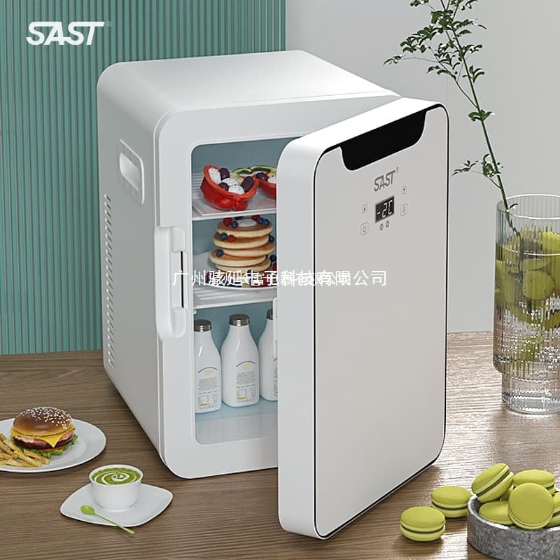 SAST8L Mini Car and Home Refrigerator, Dormitory Student Cooling Single Small Refrigerator, Other