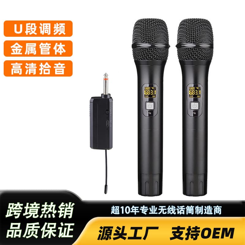 Wireless Microphone One-to-Two FM Receiver for Home, Conference, Outdoor Live Streaming, and Karaoke - Factory Direct