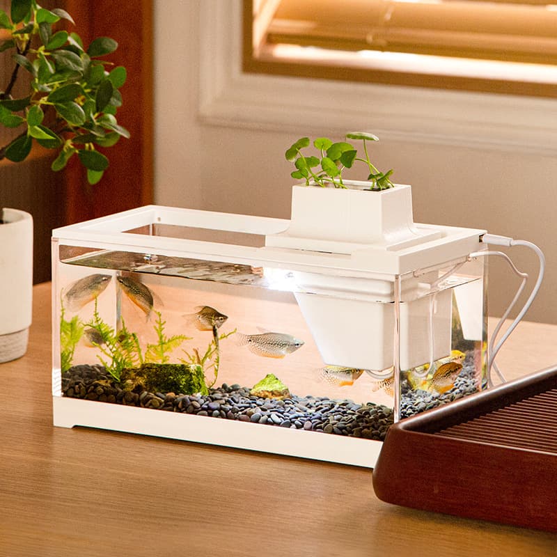 Small Desktop Tropical Fish Tank Guppy Fish Light Silent Heating Filter Home Aquarium Quiet Operation Easy Maintenance