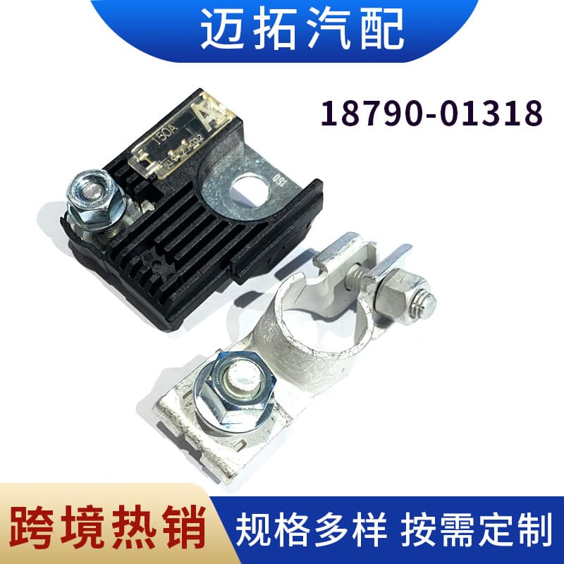 Cross-border car battery fuse 150A positive terminal 18790-01318/18790-01319 terminal