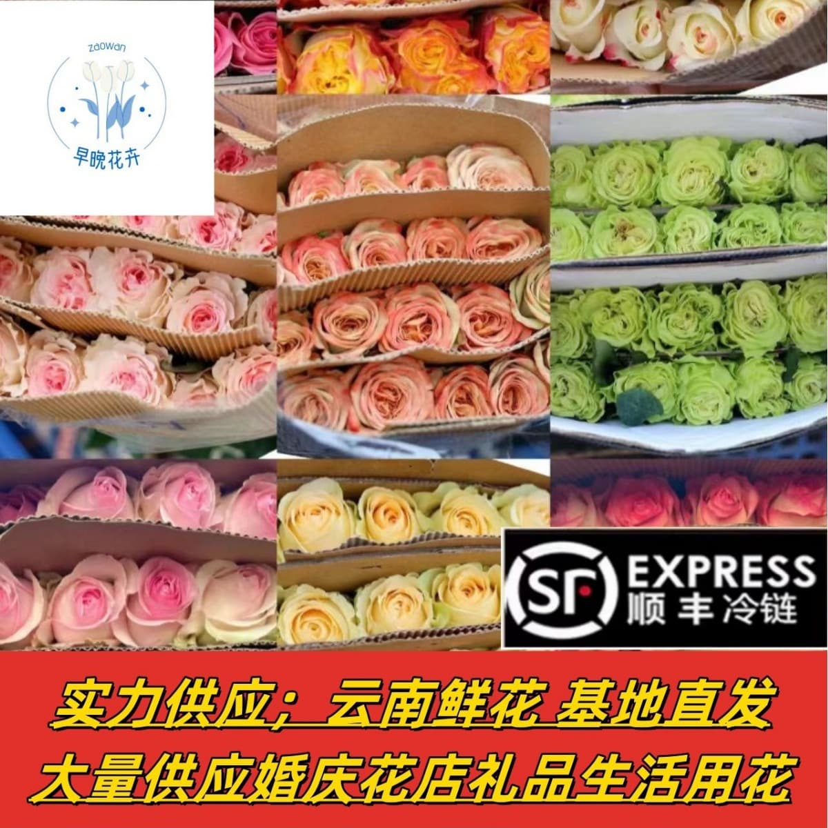 Rose fresh flowers wholesale from Yunnan Kunming direct supply for National Day weddings, flower shop stalls, gifting, community group buying fresh.