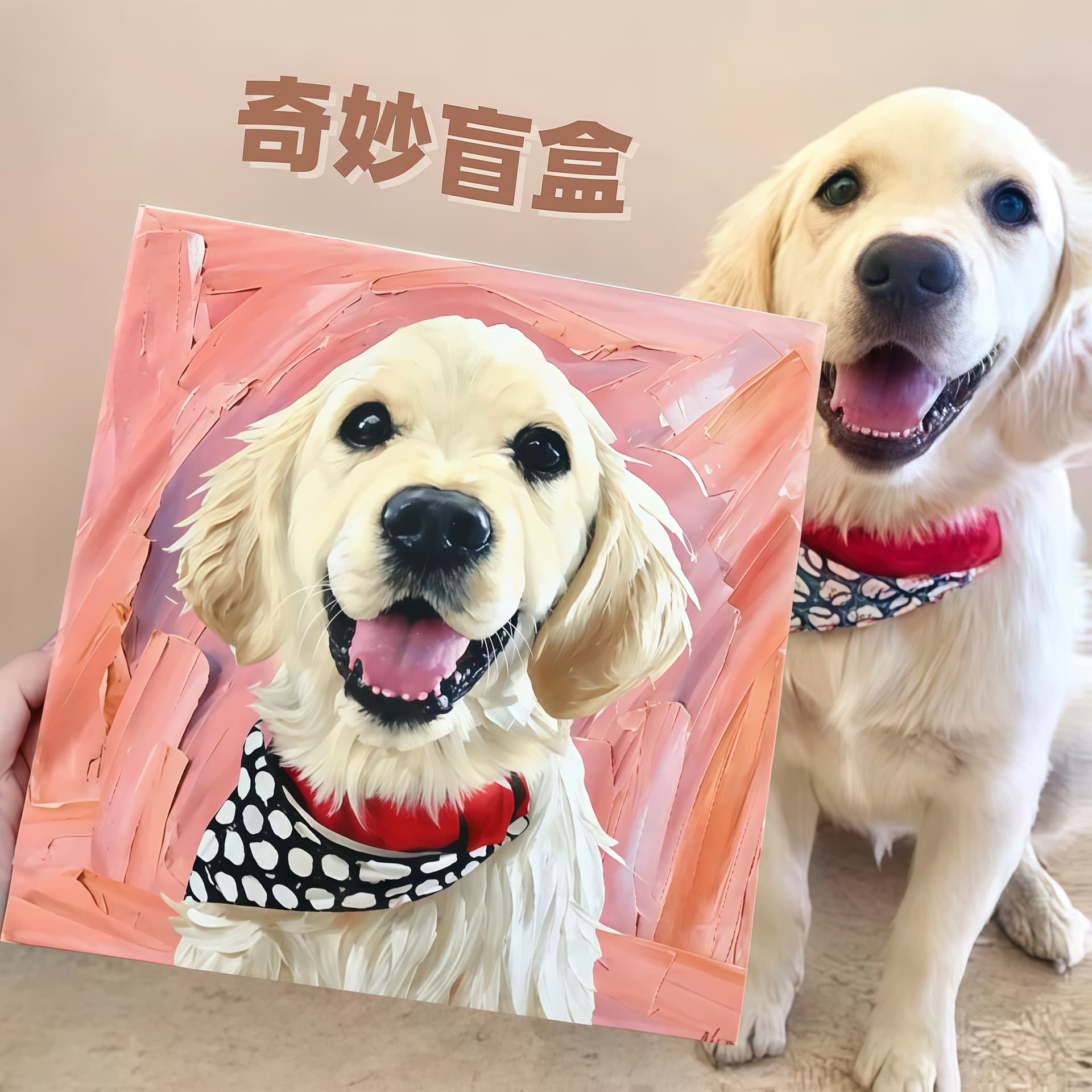 Custom-made oil paintings of cats and dogs for hanging in bedrooms and living rooms; handmade portraits; gifts.