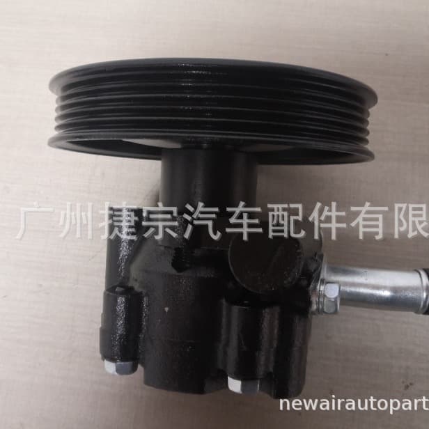ZOYTE 2008 Power Steering Pump for ZOYTE 2008