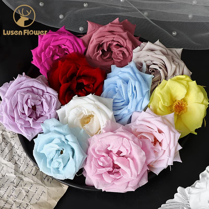 Preserved Marguerite Rose Marian Real Flower Soft Decoration Everlasting Bouquet Lisianthus Flower Heads DIY Floral Craft Materials