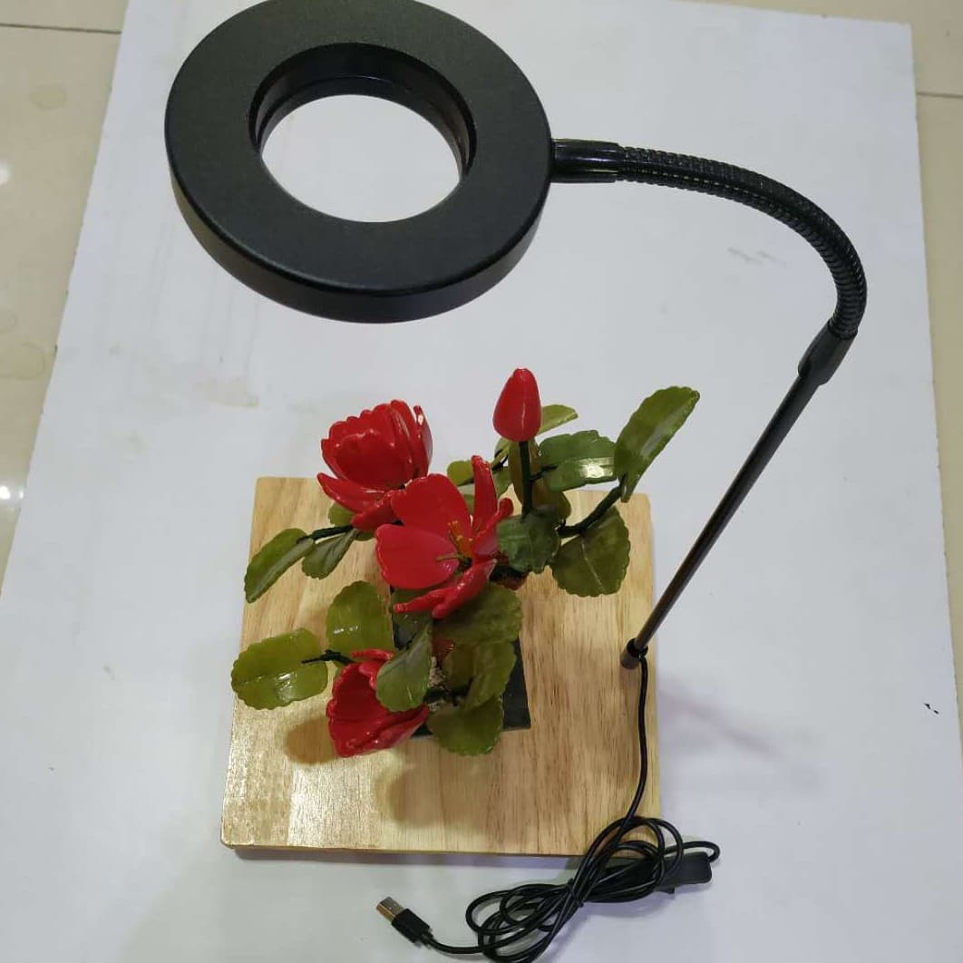 Wooden Board Fish Tank Light Plant Supplement Light Bonsai Micro Landscape Aquatic Plant Lighting Usb Plug