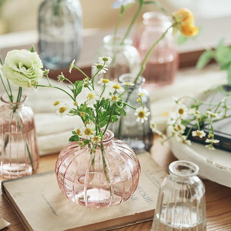 Retro three-piece set of French transparent glass vases ins Feng Shui nourishing home furnishings living room pocket flower vase