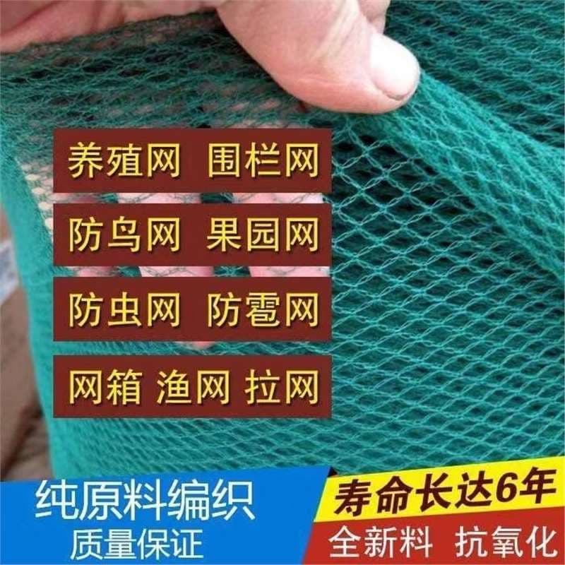 Chicken Farming Net, Poultry Net, Bird Netting, Chicken Fence, Plastic Net, Courtyard Fruit Tree Bird Net, Fishing Net, Poultry Farming