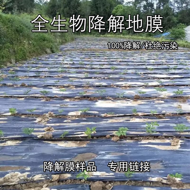 Degradable Eco-Friendly Film for Agricultural Use, Black Mulch Film for Weed Control, Heat Retention, Moisture Preservation, and Biodegradable Farming