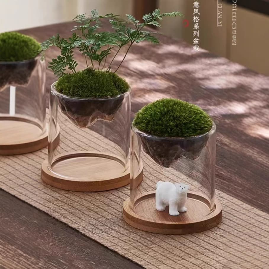 Miniature potted planter desktop micro-landscape office glass moss small green plant tea set new Chinese style tea water separation